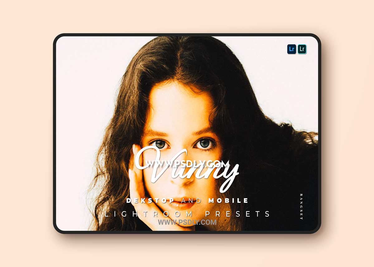 Vunny Desktop and Mobile Lightroom Preset