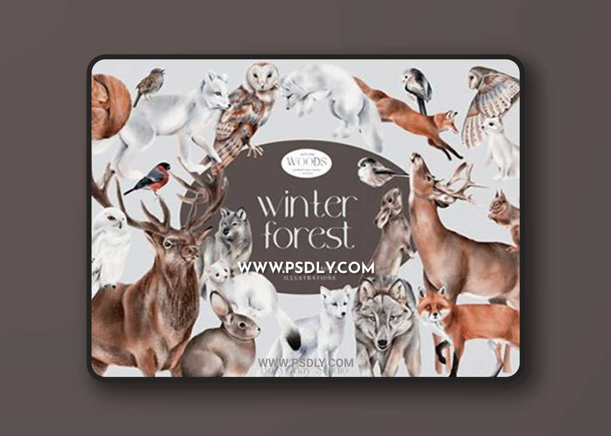 Winter Forest Animals and Birds PNG 18762380