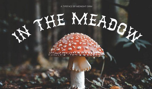 In the Meadow Font