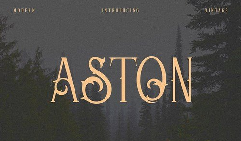 Aston - Vintage Serif Font