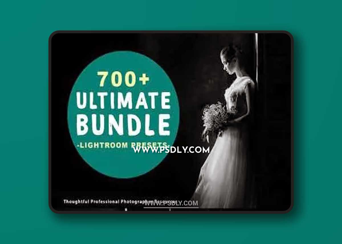 700+ Lightroom Presets Bundle 3061618