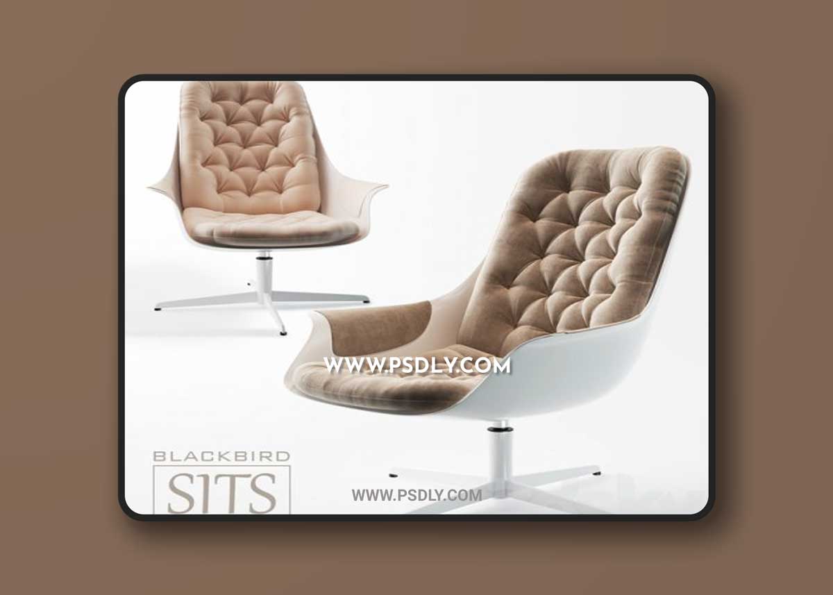 Armchair SITS BLACKBIRD 3D Models