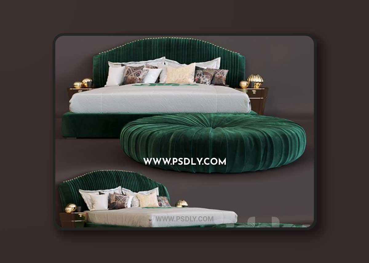Bed Sharpei Roberto Cavalli 3D Models