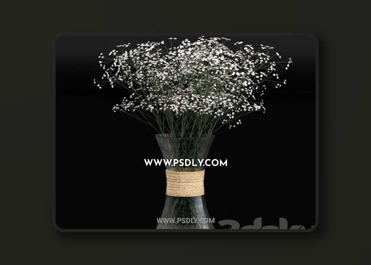 Bouquet of gypsophila 3D Models
