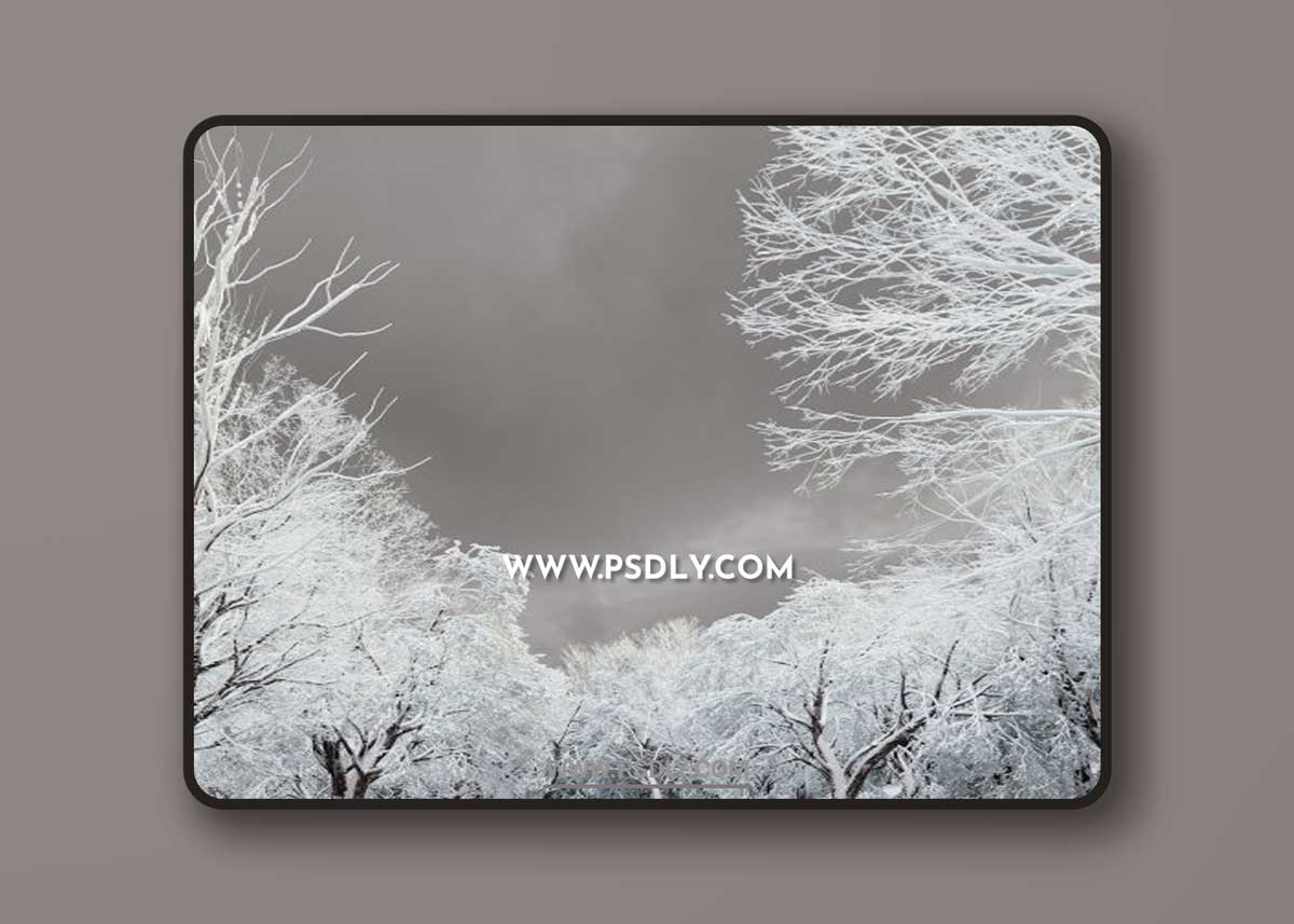 Cghelios - HeliosVegetation vol.11