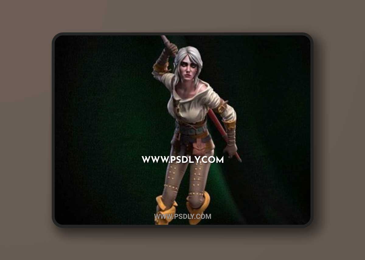 Ciri The Witcher 3D Models