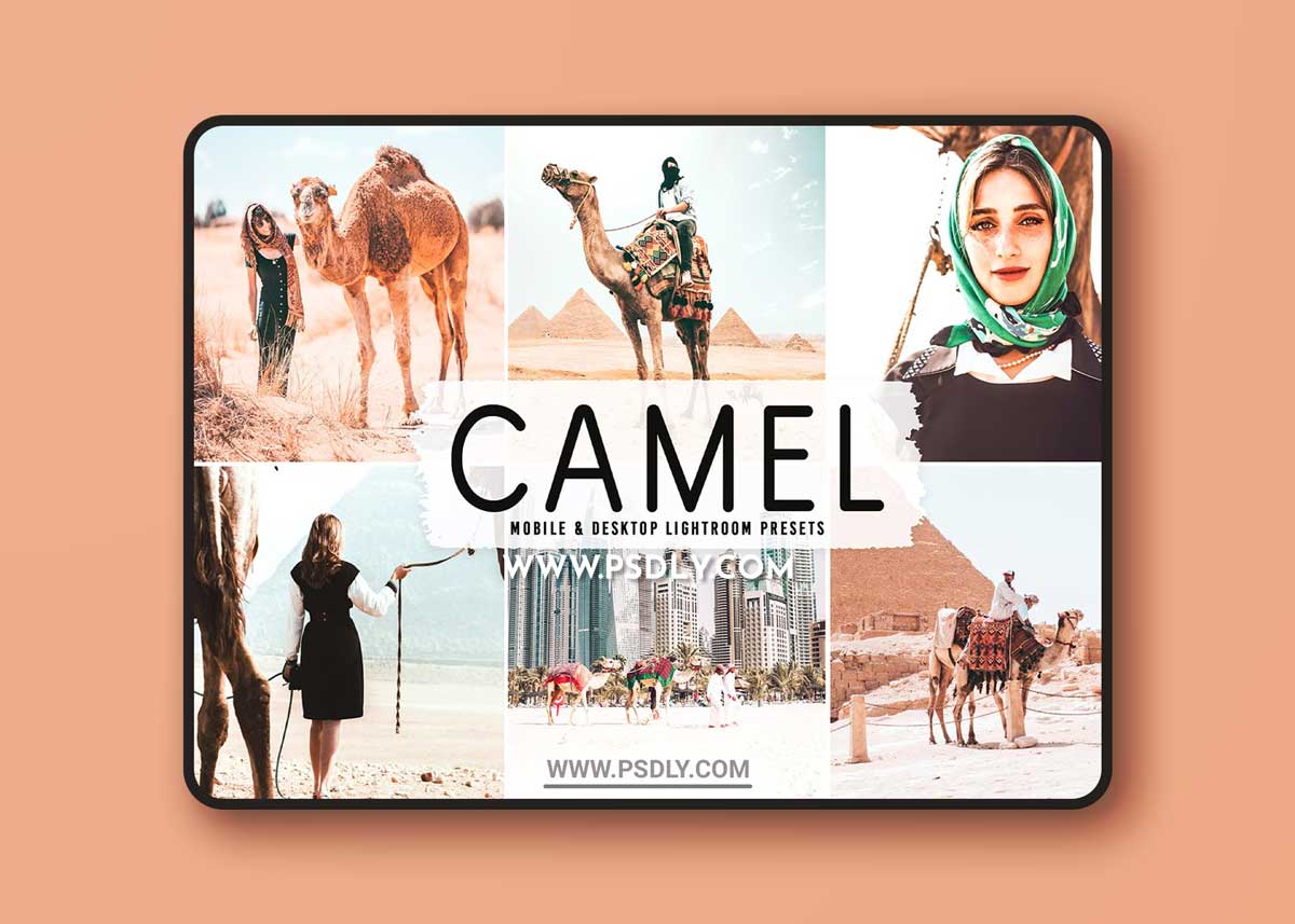 CreativeMarket - Camel Pro Lightroom Presets 6622399