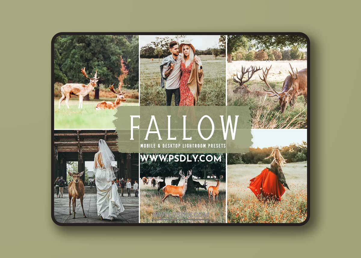 CreativeMarket - Fallow Pro Lightroom Presets 6639851