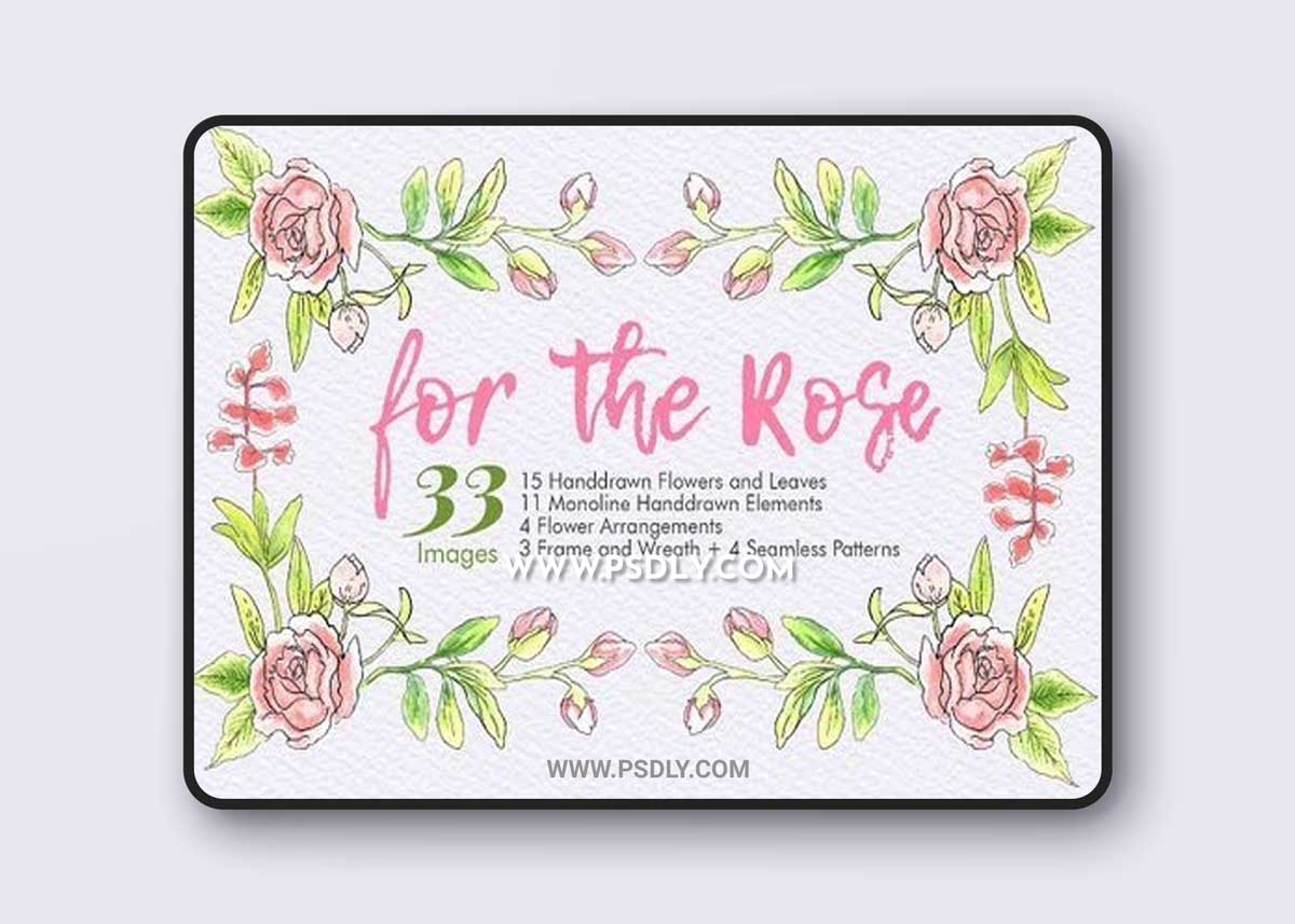 For The Rose - Handdrawn Flowers