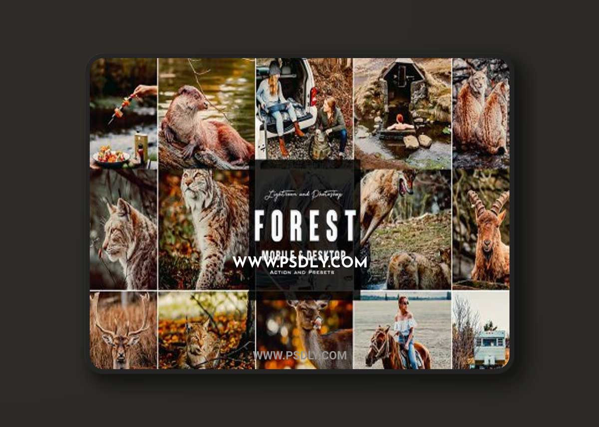 Forest Mood - Photoshop & Lightroom Presets and PC