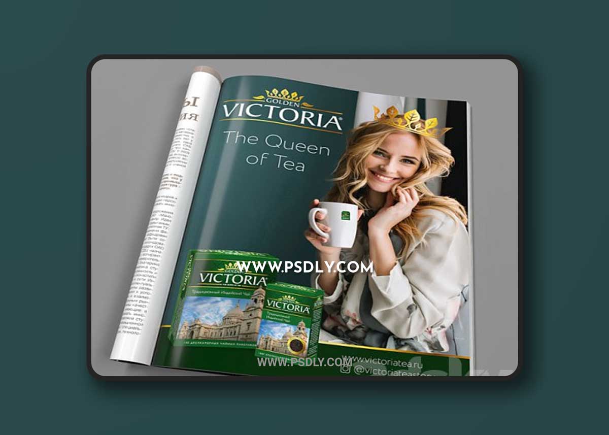 Glossy magazine unfolded 3D Models