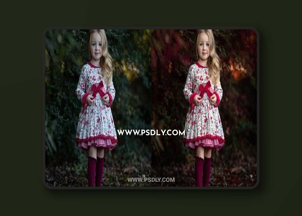 Greater than Gatsby - The Painterly Portrait Collection II