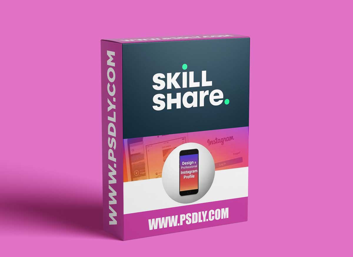 Instagram Marketing - Design a Professional Instagram Business Profile & Stand Out