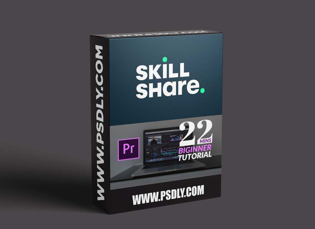 Learn Premier Pro In 22 Minutes (Beginners)