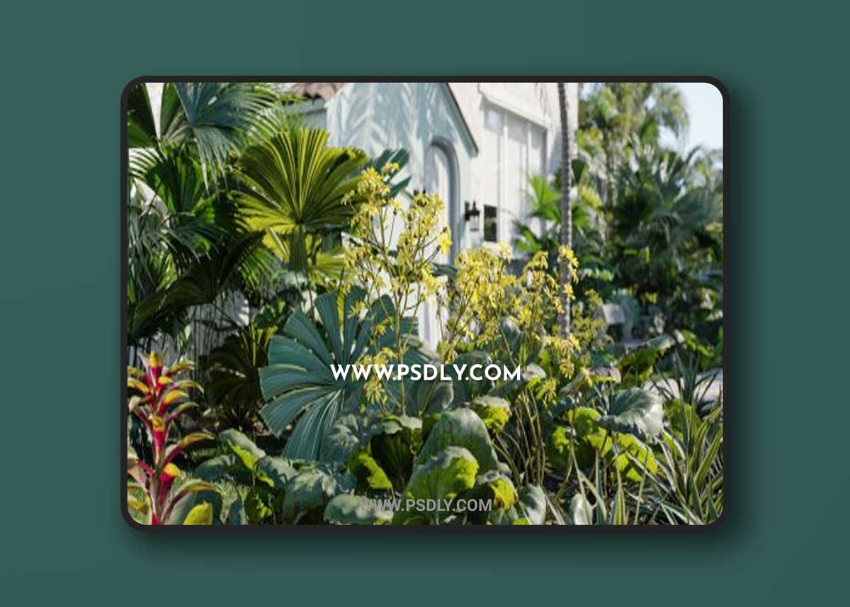 Maxtree – Plant Models Vol.18