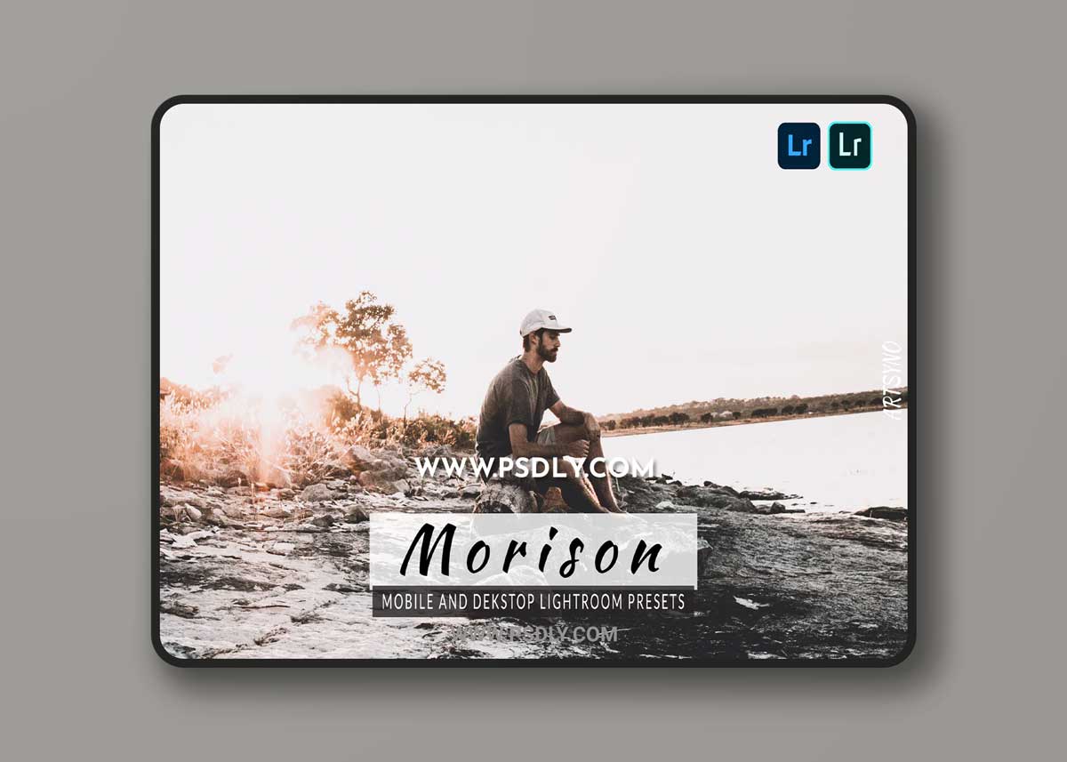 Morison Lightroom Presets Dekstop and Mobile
