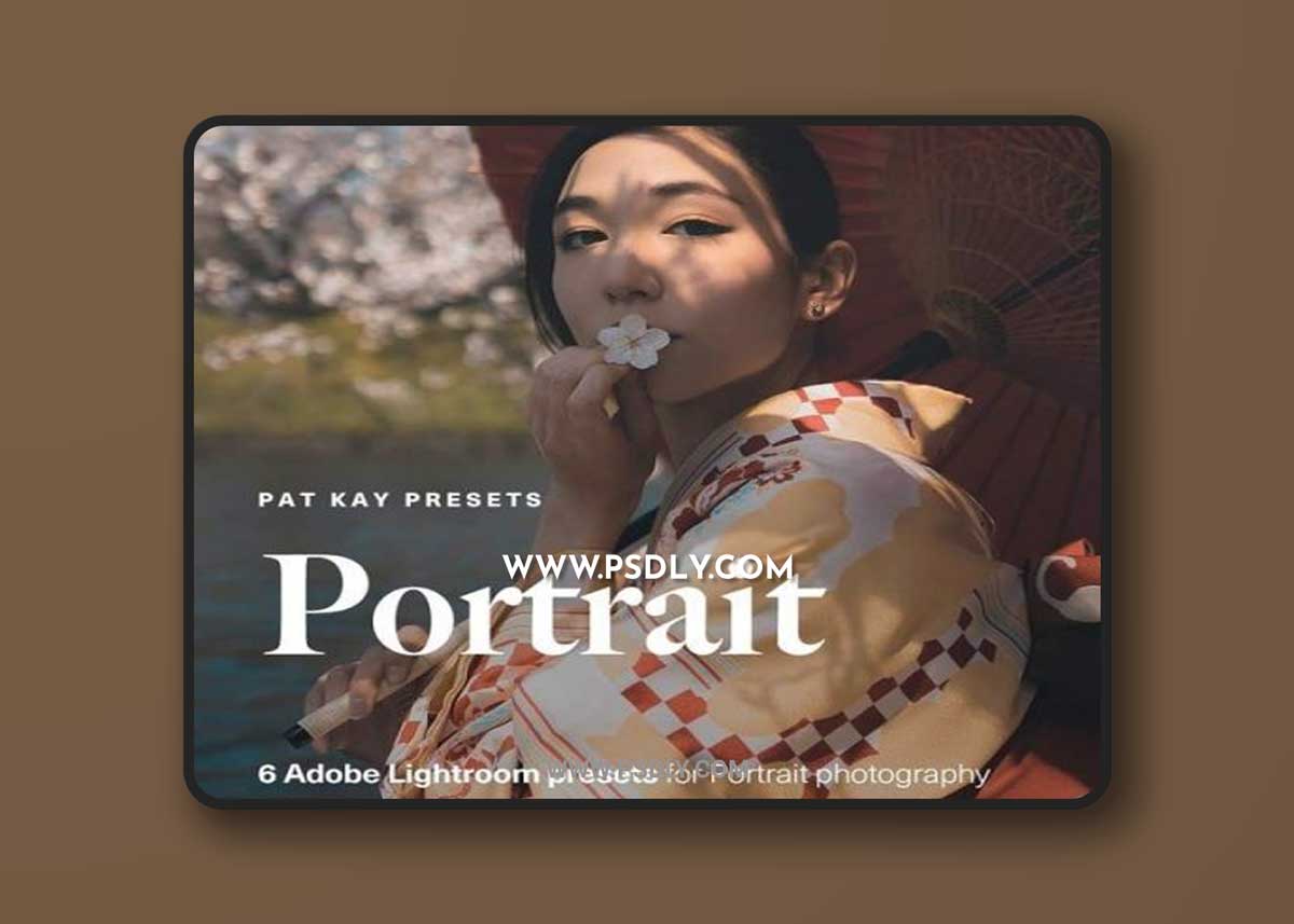 Pat Kay – Portrait Presets