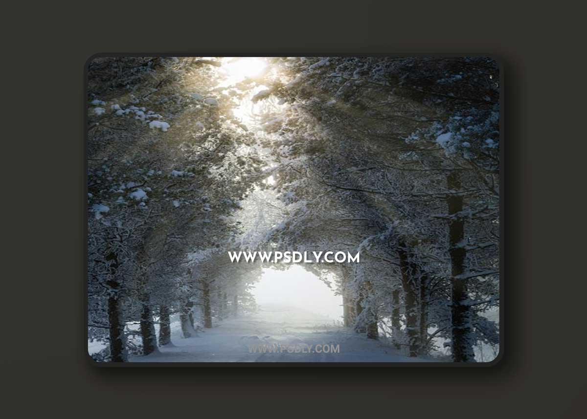 Phlearn Pro - Light Rays Photoshop Actions