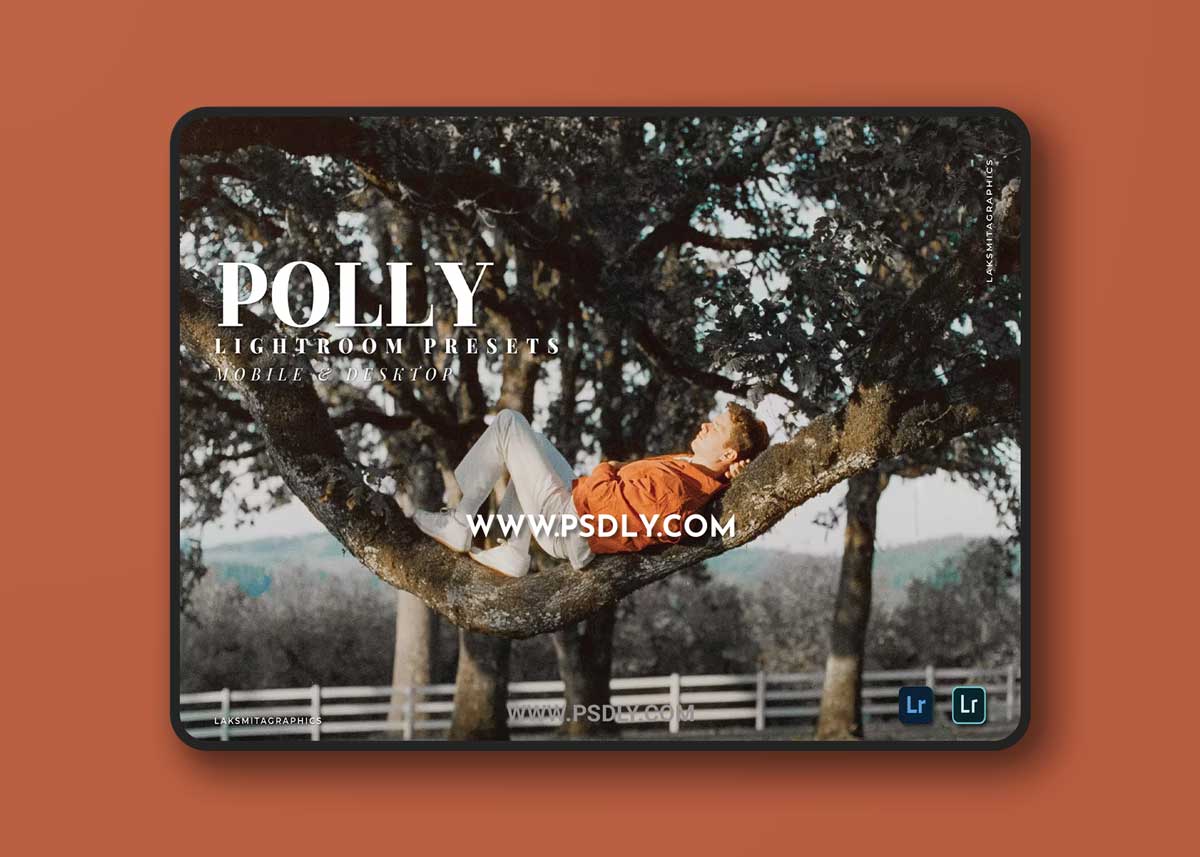 Polly Mobile and Desktop Lightroom Presets
