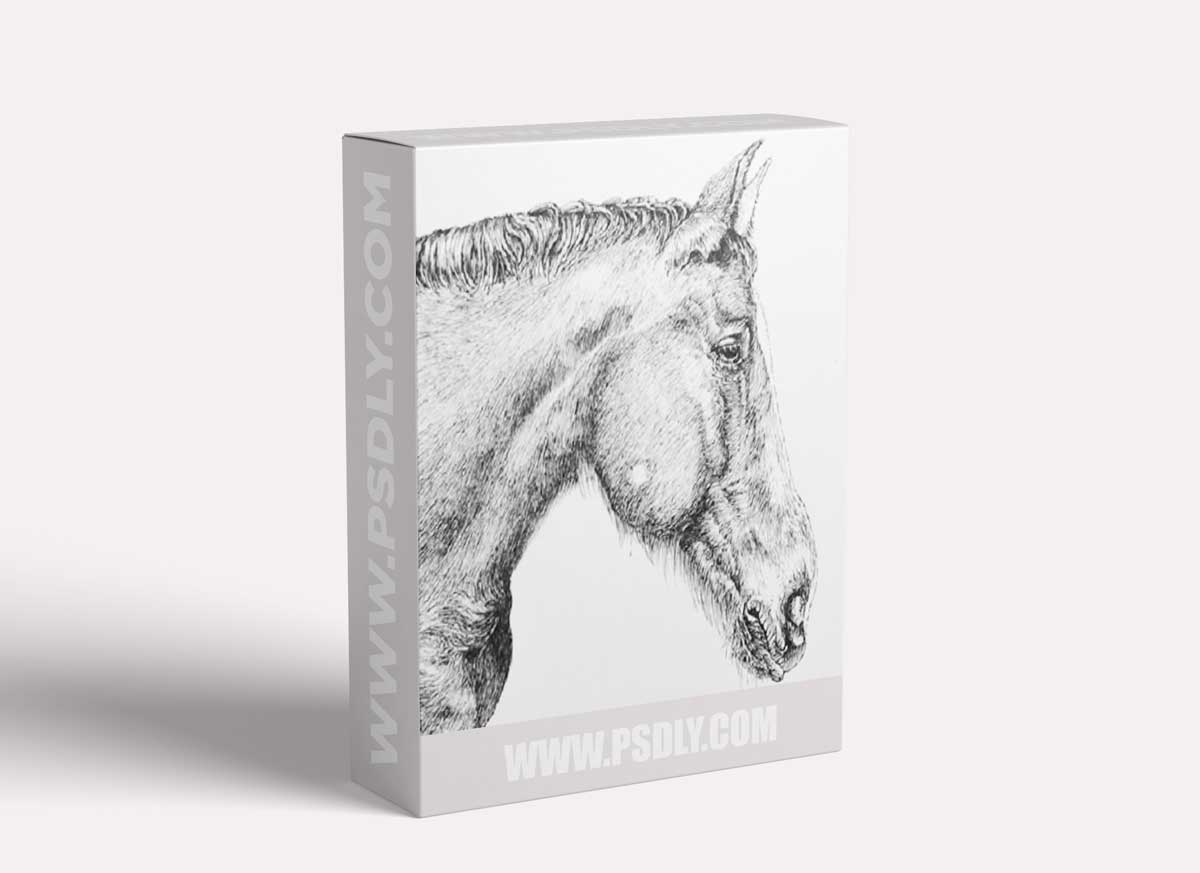 The Virtual Instructor - Pen and Ink "Horse"