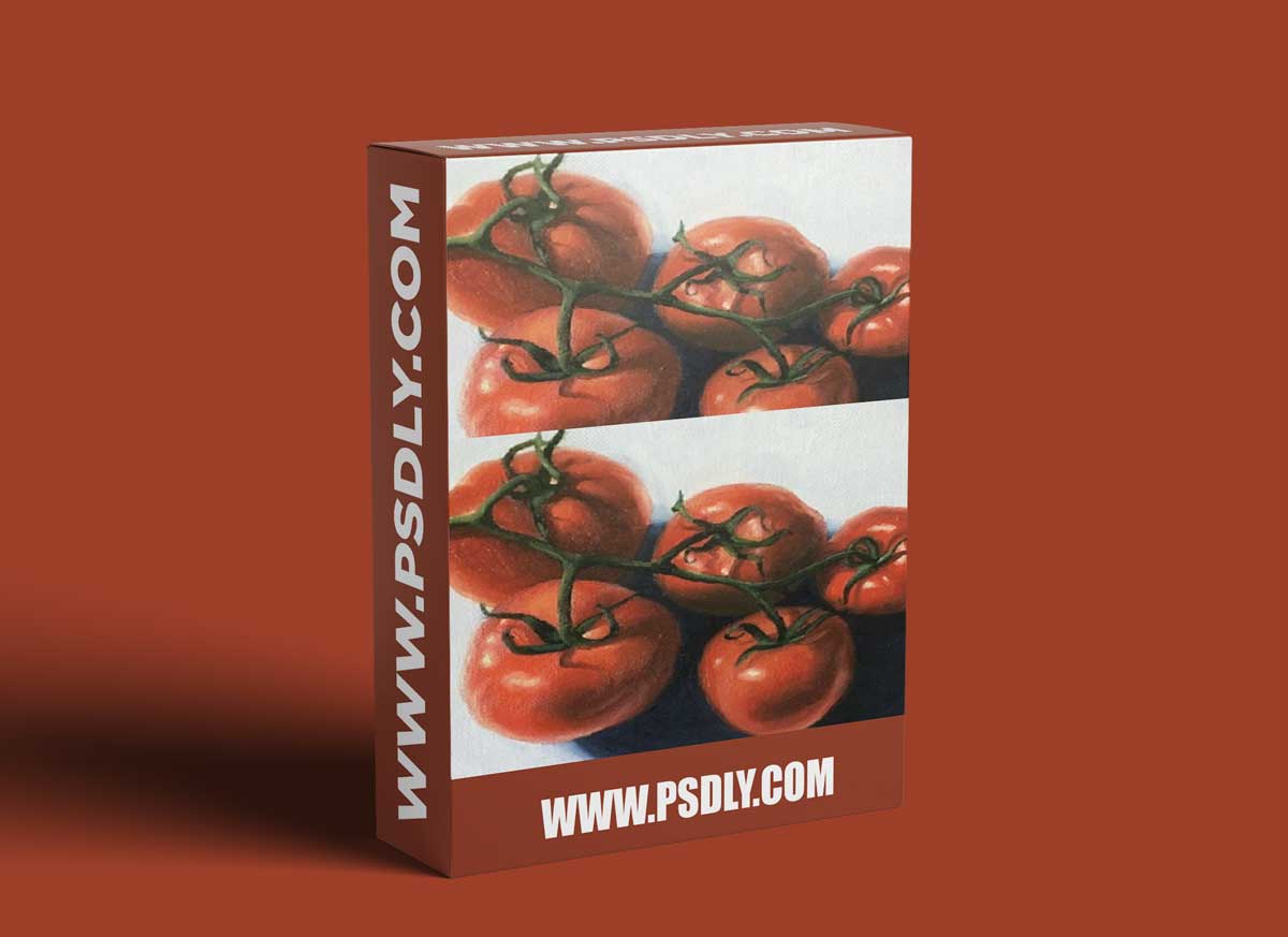 The Virtual Instructor - Still Life - Oils