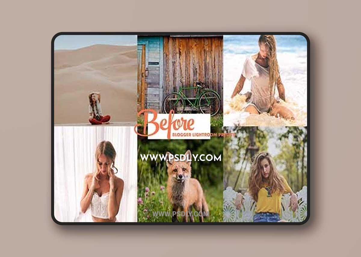 Travel Blogger Instagram LR presets