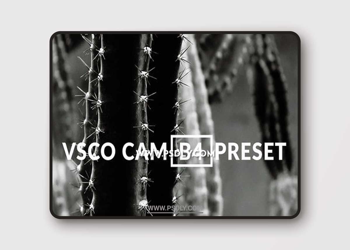 VSCO INSPIRED B4 LIGHTROOM PRESET BW