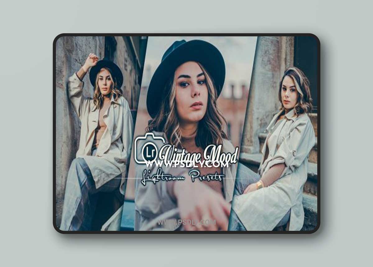 Vintage Mood Lightroom Presets