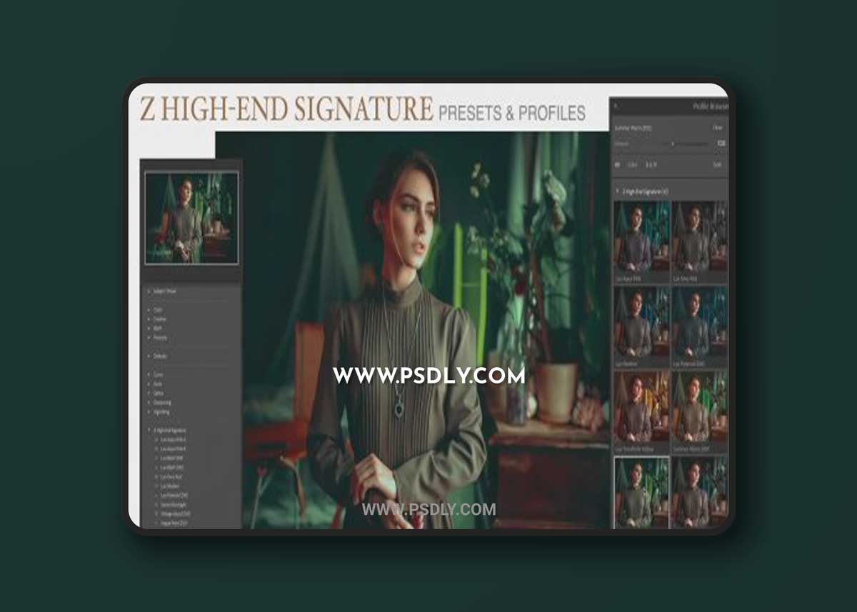 Z High-End Signature Presets + Profiles