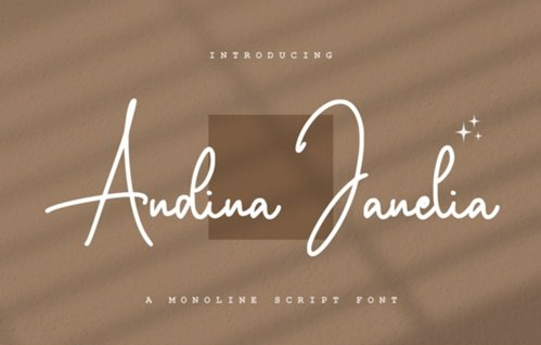 Andina Janelia Font