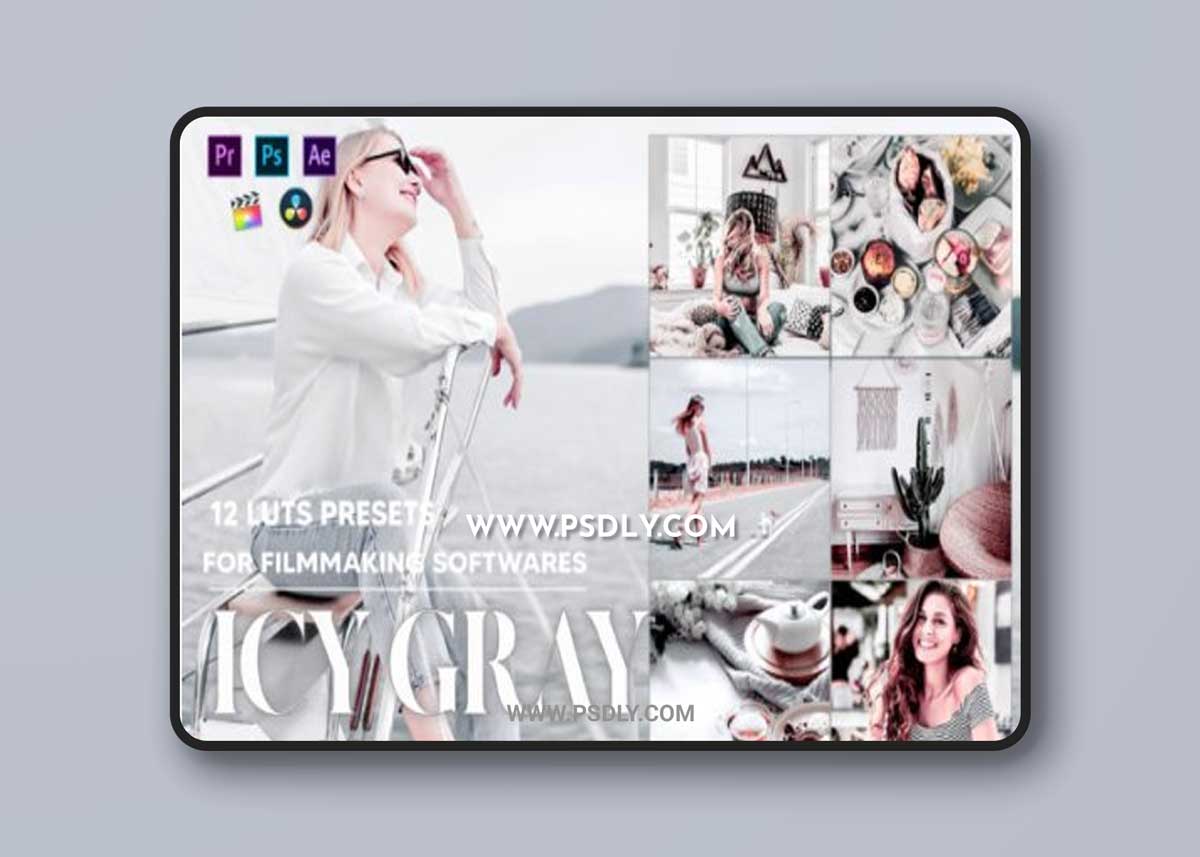 12 Icy Gray Video LUTs Presets