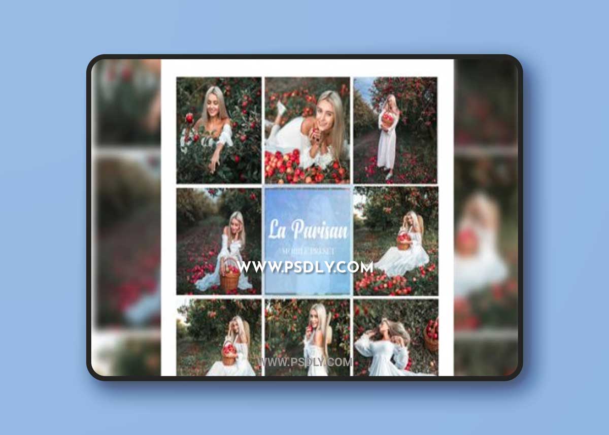 32 La Parisan Lightroom Preset .2022