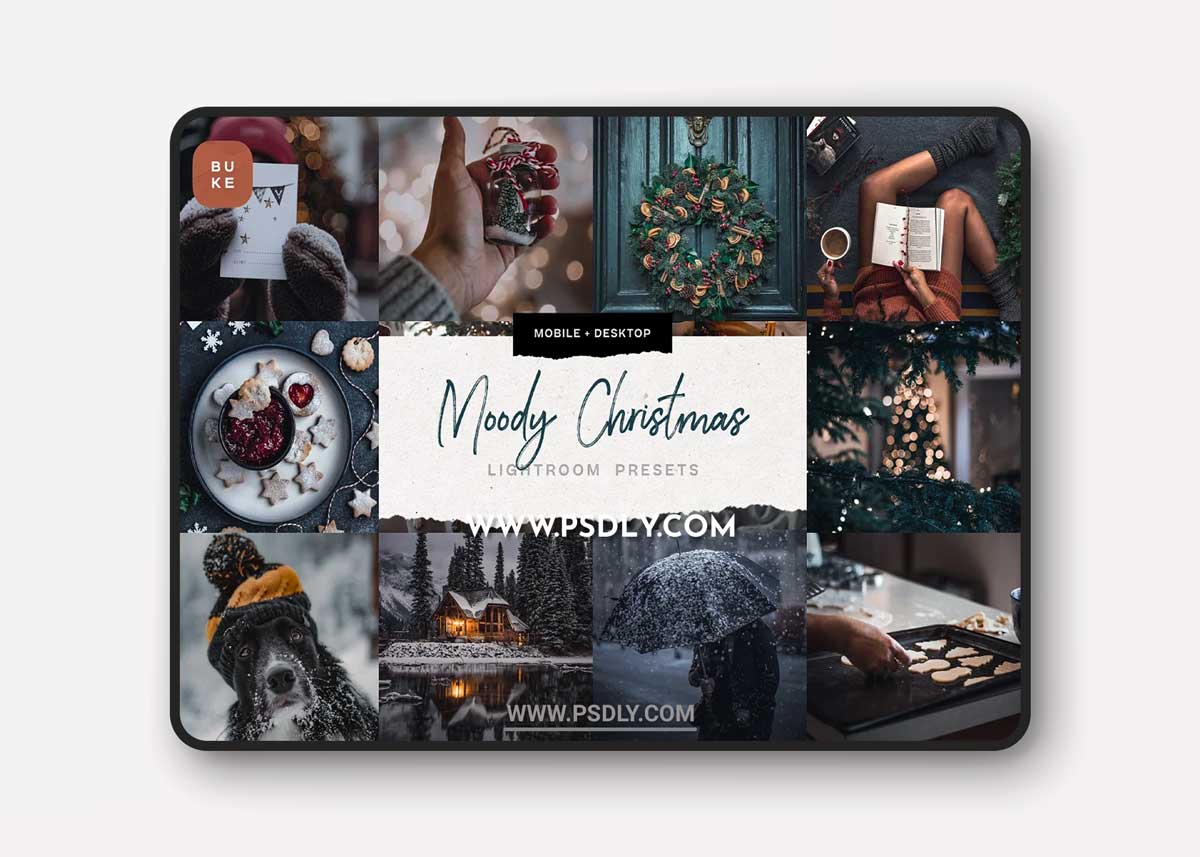 4 Moody Christmas Presets Pack 5679586
