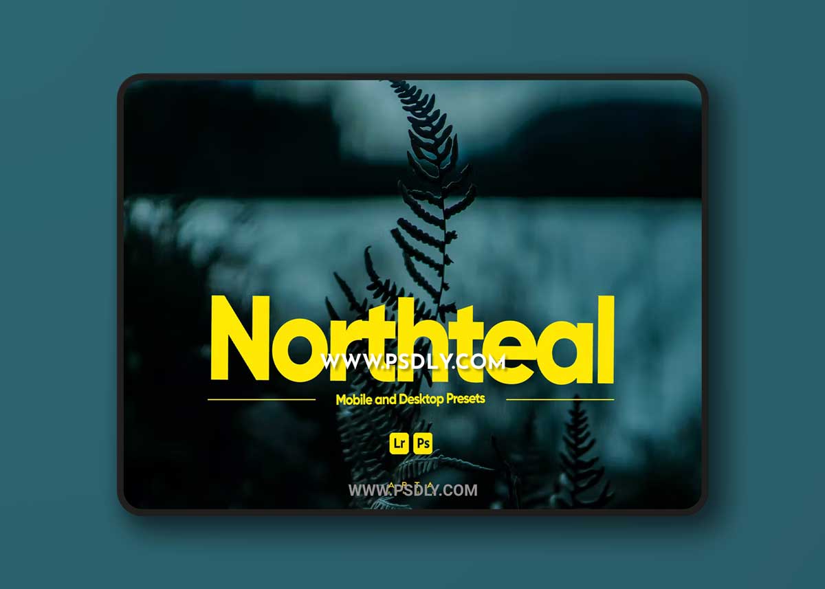 ARTA - Northteal Presets for Lightroom