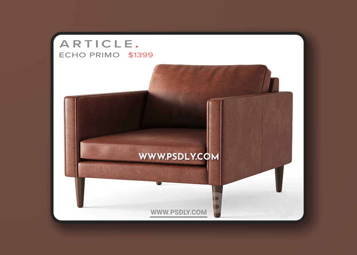 Article / Echo Primo