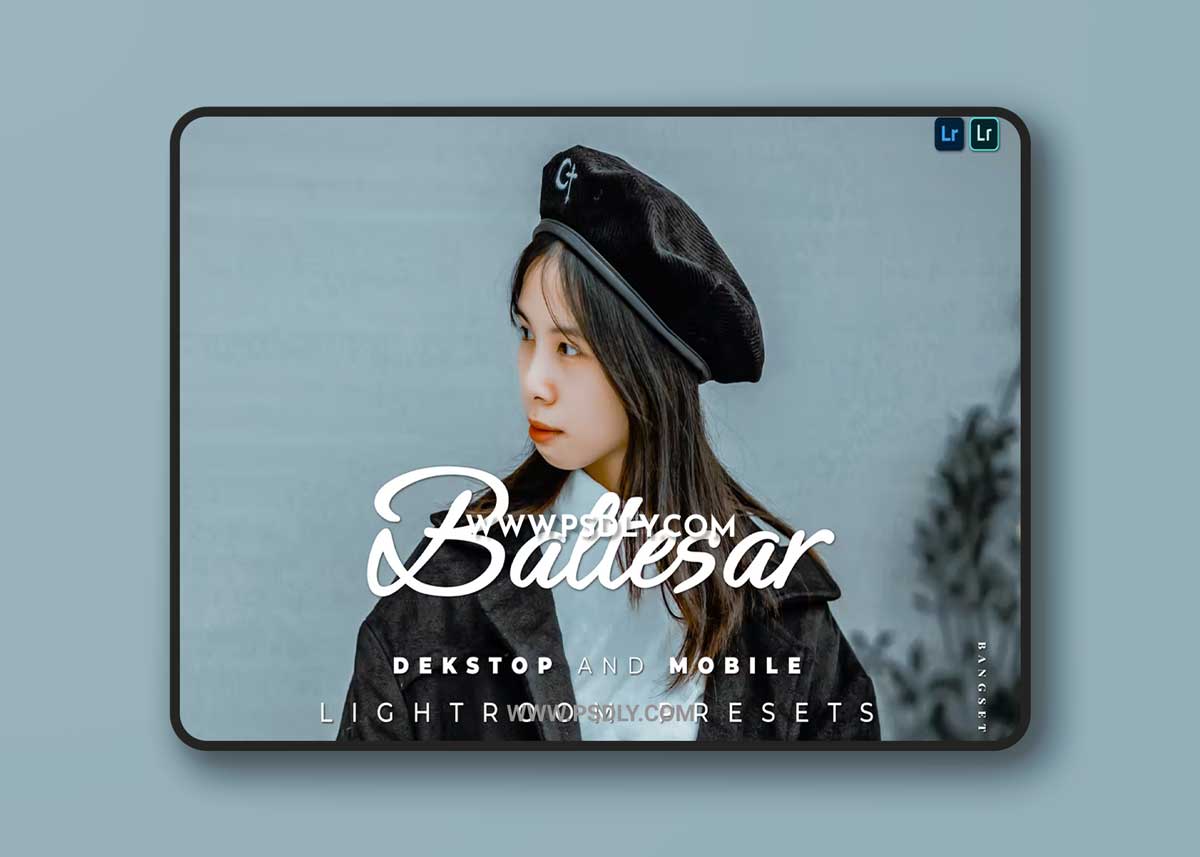 Baltesar Desktop and Mobile Lightroom Preset