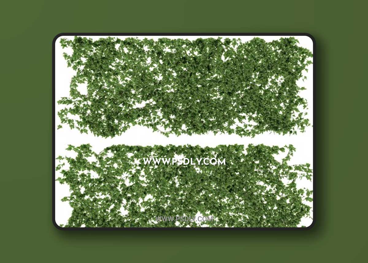 Cgtrader - Wall of lvy Leaves V2