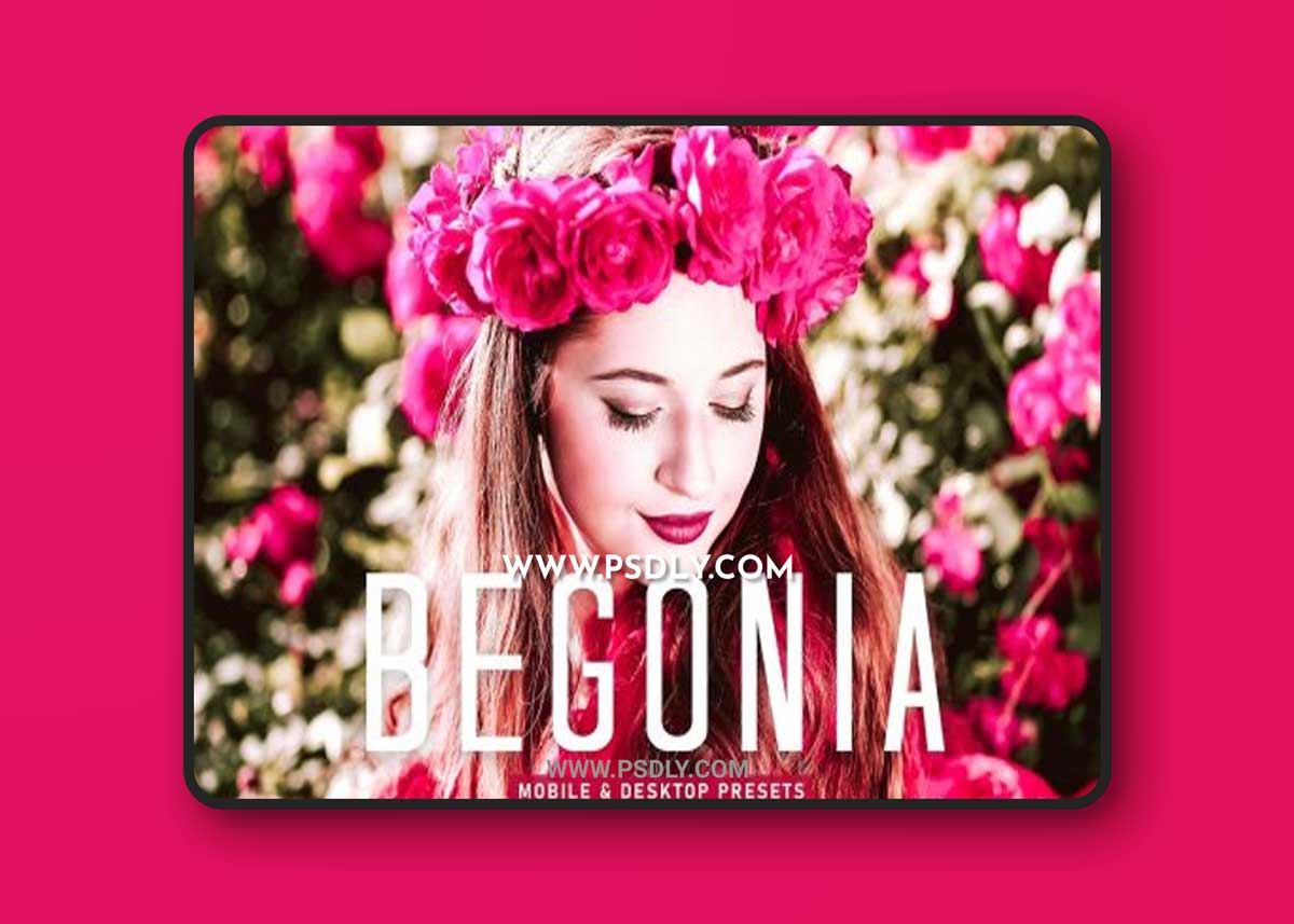 CreativeMarket - Begonia Pro Lightroom Presets 6896085