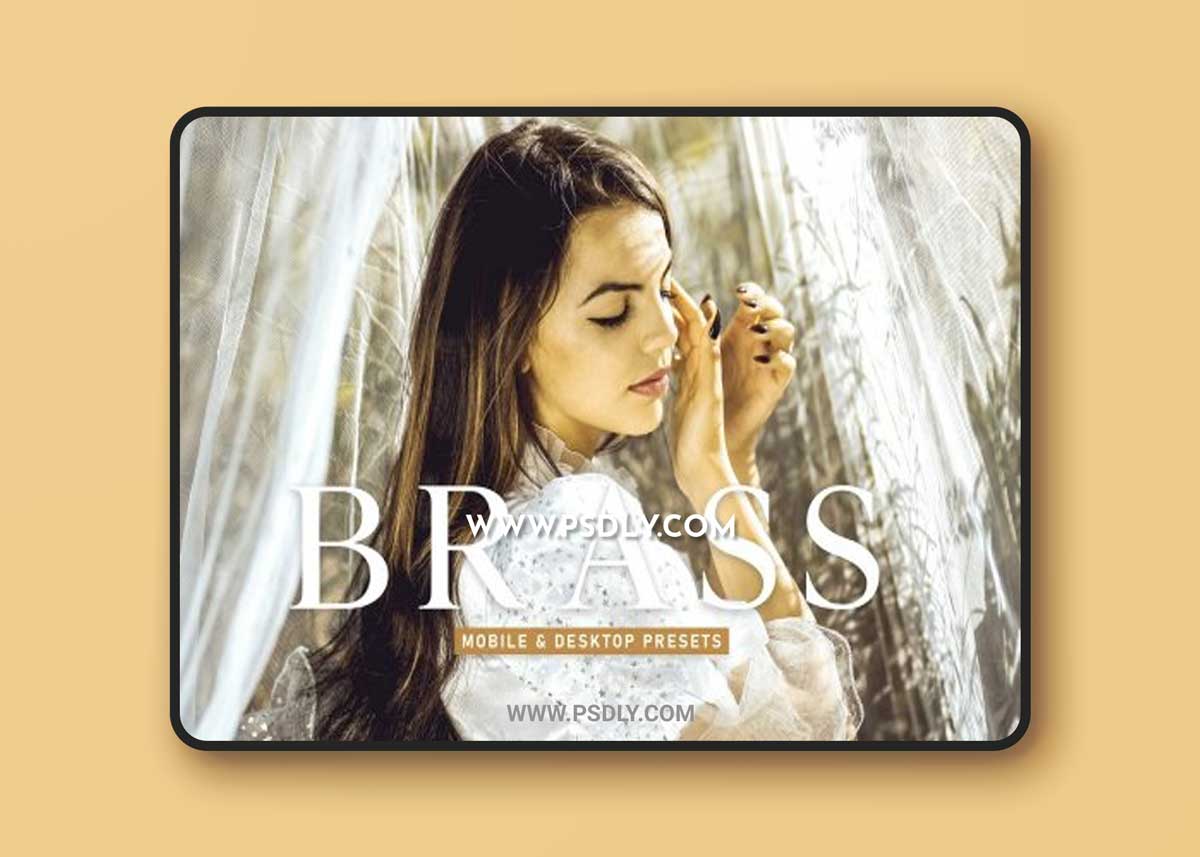 CreativeMarket - Brass Pro Lightroom Presets 6923013
