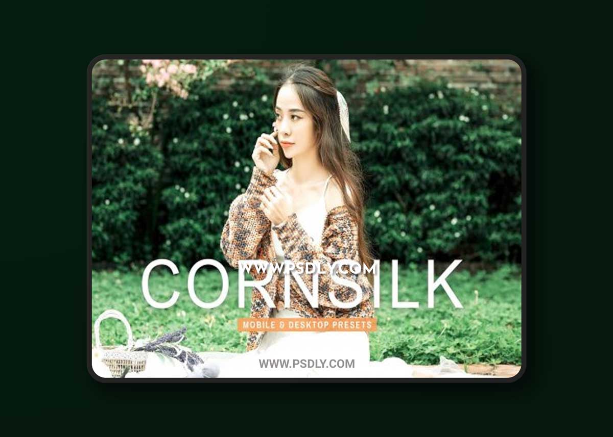 CreativeMarket - Cornsilk Pro Lightroom Presets 6898000