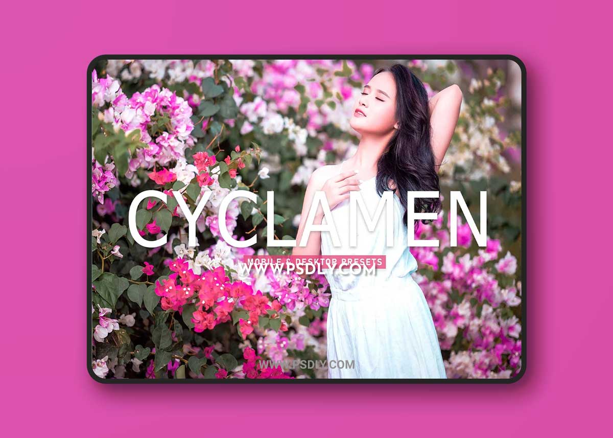 CreativeMarket - Cyclamen Pro Lightroom Presets 6923256