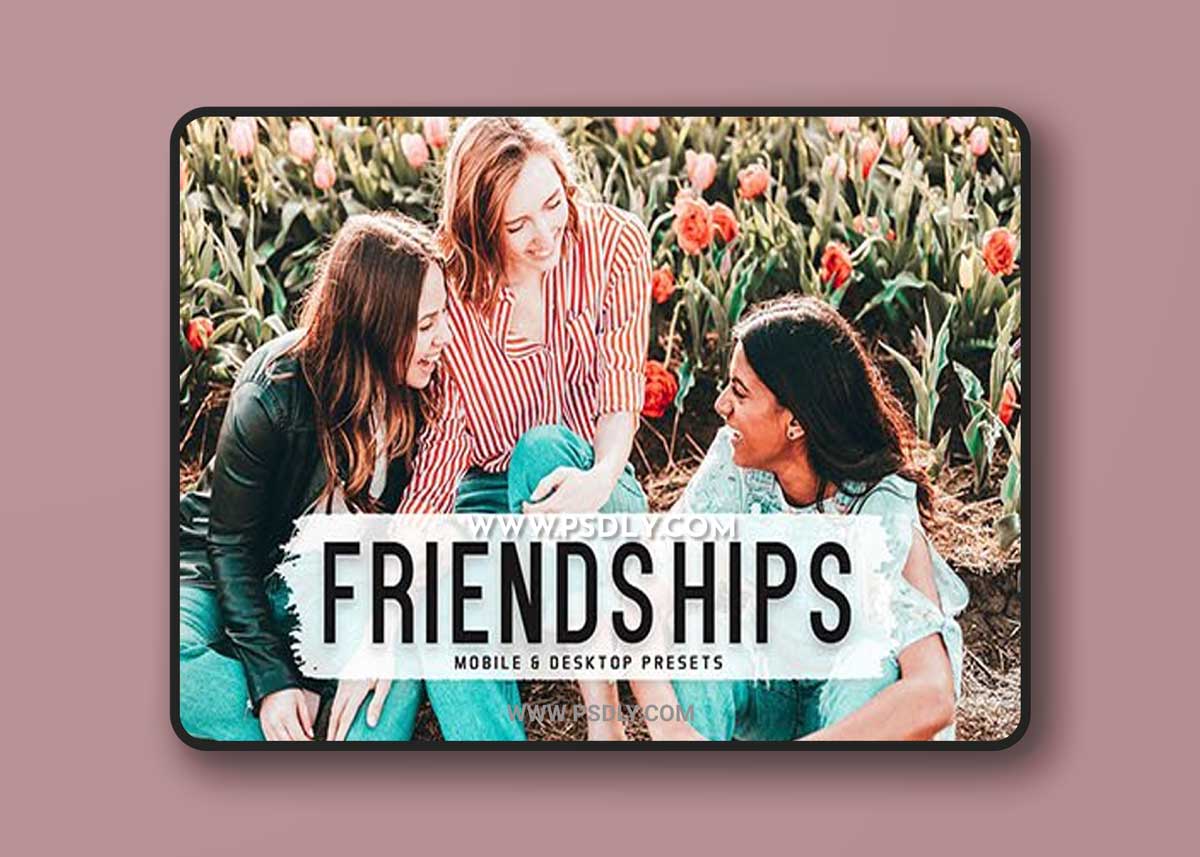 CreativeMarket - Friendships Pro Lightroom Presets 6812637