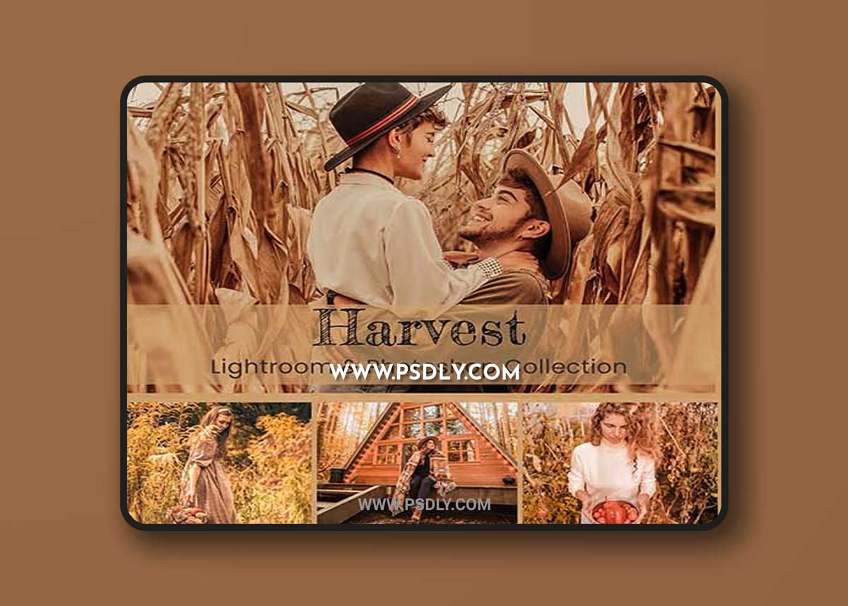 CreativeMarket - Harvest Photoshop Actions Lightroom 6911081
