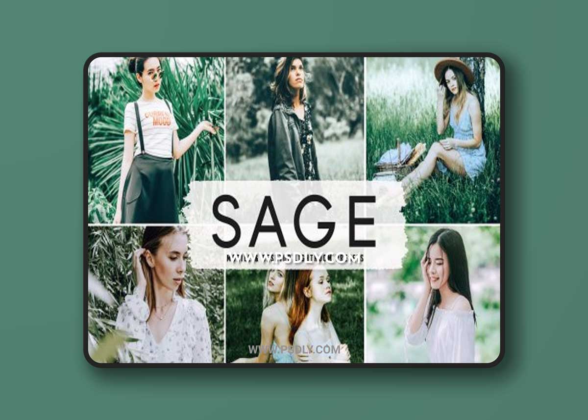 CreativeMarket - Sage Pro Lightroom Presets 6832565