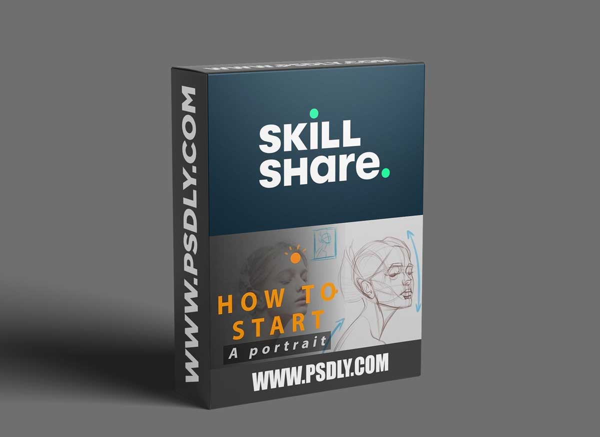 How to Start a Portrait Drawing: Basic Analysis of the Head