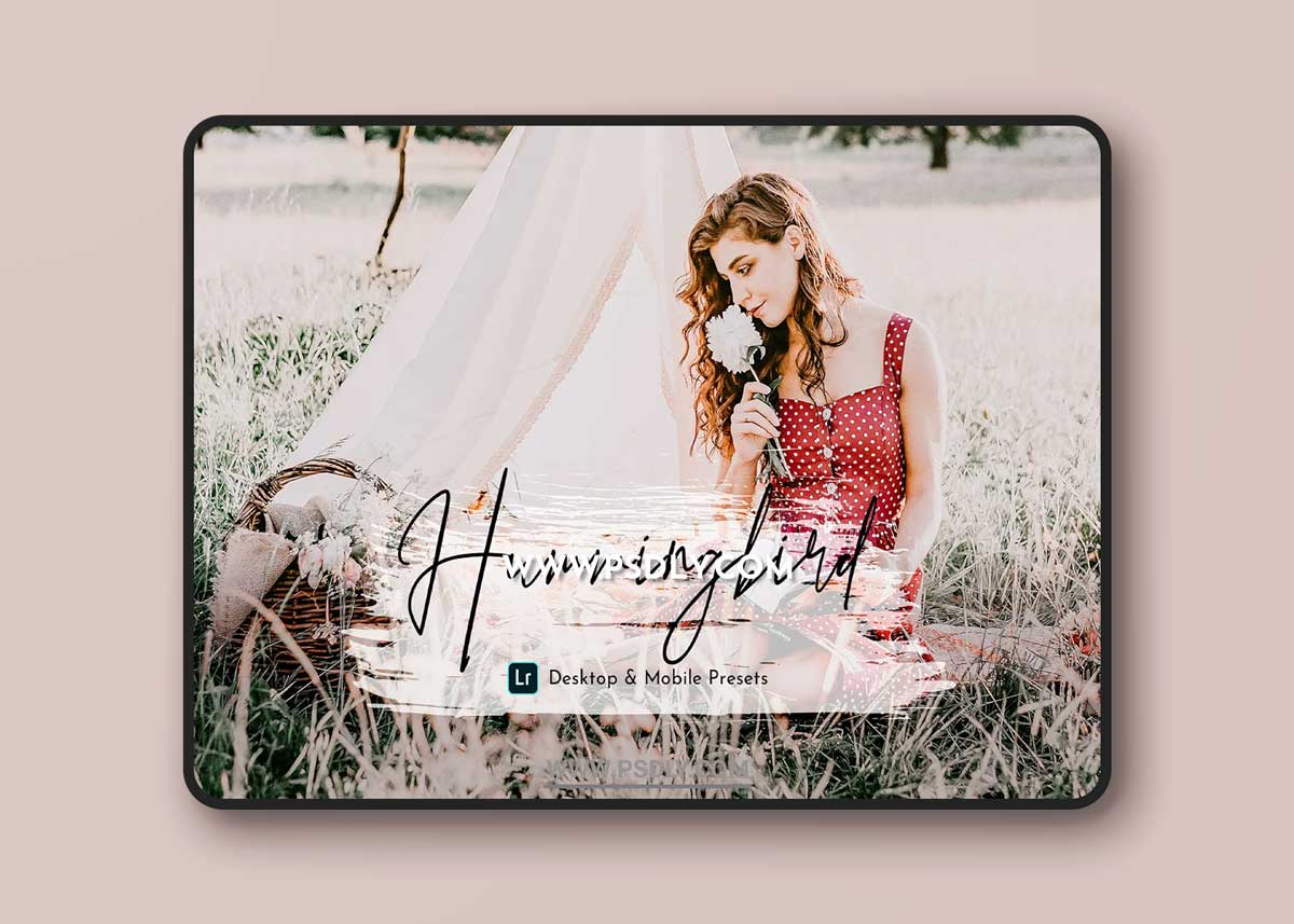HummingBird Lightroom Presets Pack 5469110