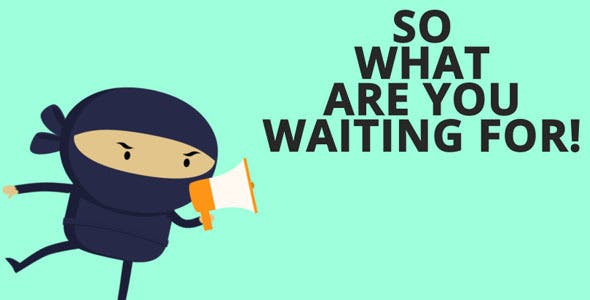 Videohive Ninja Explainer Animations 13761375