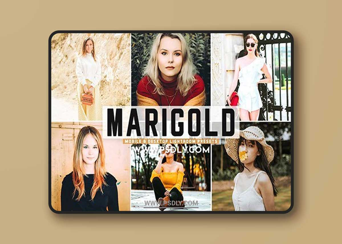 Marigold Pro Lightroom Presets 5424130