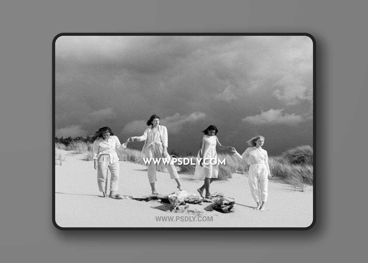 Mastin Labs - Ilford Original Lightroom Desktop Presets v3