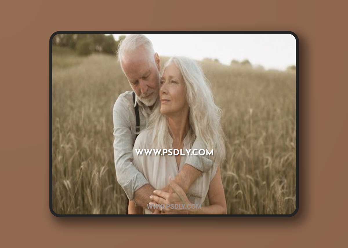 Meridian - Slate & Ivory - Decades Presets